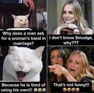 Stupid Bar Memes 202cb6f60eba5377