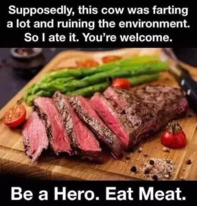 Stupid Bar Memes 20cc47d81c0e168b