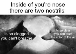 Stupid Bar Memes 20cfa0a63aba955b