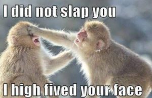 Stupid Bar Memes 22c50074cfc59fdf
