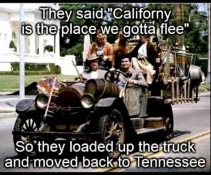 Stupid Bar Memes 26c813b4df2d35ea