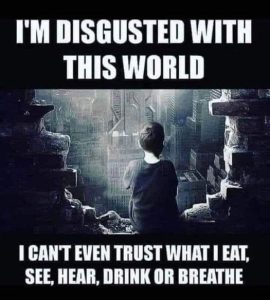 Stupid Bar Memes 28e3562be1bb577a