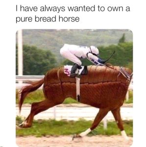 Stupid Bar Memes 2c2558e8b94417c7