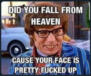 Stupid Bar Memes 2f01a6f76892acc3