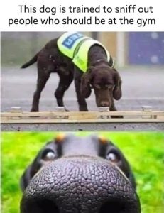 Stupid Bar Memes 2f25317524fa8a48