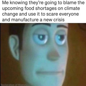 Stupid Bar Memes 312444152d38e77d