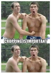 Stupid Bar Memes 33ff1bef34081914