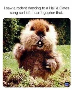 Stupid Bar Memes 36de65d7f3807f80