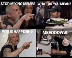 Stupid Bar Memes 383488e326caf0bd