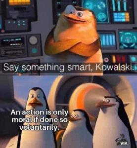 Stupid Bar Memes 3ad90d5cd476f68a