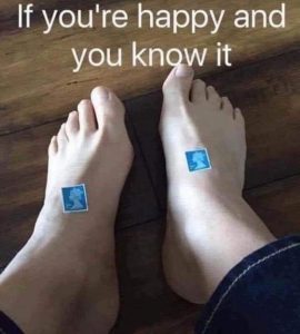 Stupid Bar Memes 4155e70b87ed49d1