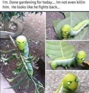 Stupid Bar Memes 42f735d660bcedaf