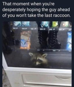 Stupid Bar Memes 432babd4ec991fd4