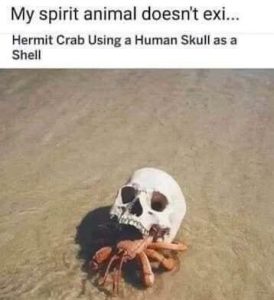 Stupid Bar Memes 44b370fff299f61f