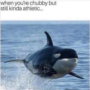 Stupid Bar Memes 473f78502b25e5b5