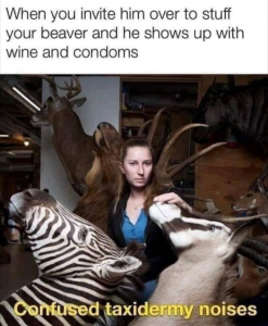 Stupid Bar Memes 4954a0546e1aceee