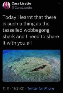 Stupid Bar Memes 4MLFtmE