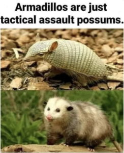 Stupid Bar Memes 4bf0b8aa93a9fba8
