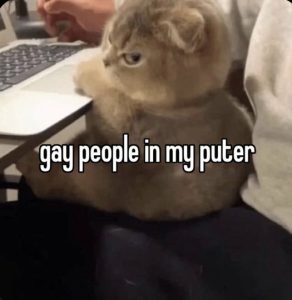 Stupid Bar Memes 4cf613ff412c0d55