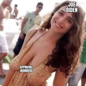 Stupid Bar Memes 4d60af62f6e5a9a7
