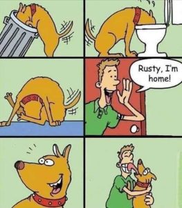 Stupid Bar Memes 502bd58737afe614