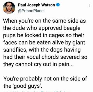 Stupid Bar Memes 510c0e70cf2aaad2