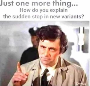 Stupid Bar Memes 52c190908a32c9b7