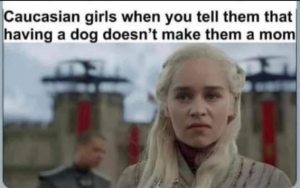 Stupid Bar Memes 55d2571fcb8b50a3
