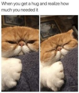 Stupid Bar Memes 569c42331b8e3e9a