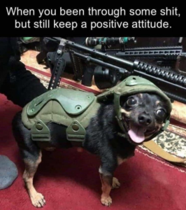 Stupid Bar Memes 5bf502eec10888c5