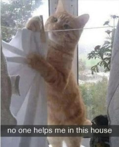 Stupid Bar Memes 5s26