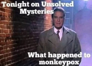 Stupid Bar Memes 64264848c4fa4