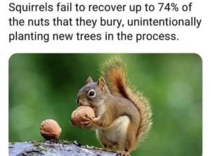 Stupid Bar Memes 66595ff874b5d27b