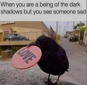 Stupid Bar Memes 66696697708f174f