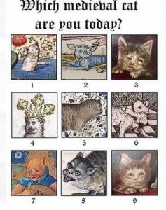 Stupid Bar Memes 66eecd6cfcbdfe16