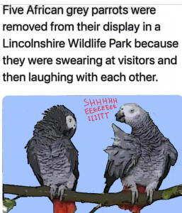 Stupid Bar Memes 684fe58008ca2cc4