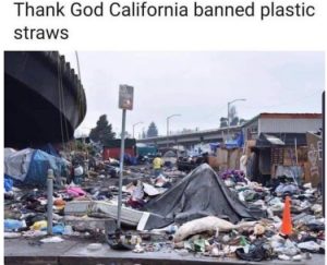 Stupid Bar Memes 71dd1aaeb4d4103a