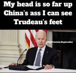 Stupid Bar Memes 720b566a5657f7a1
