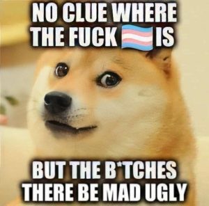 Stupid Bar Memes 77667e96868cc5e1