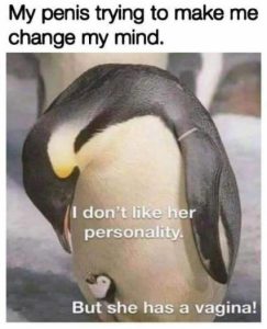 Stupid Bar Memes 7a236ec1af0f2ef5