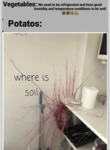 Stupid Bar Memes 7c6bd5f60c6b4d92