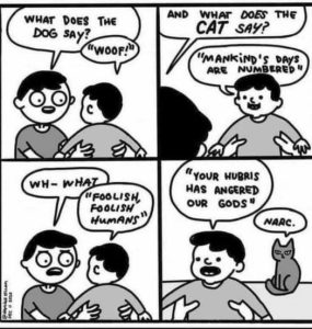 Stupid Bar Memes 7f287d65900255e9