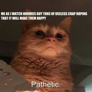 Stupid Bar Memes 823fe01b2968ce37