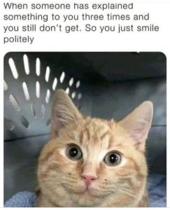 Stupid Bar Memes 83720dd3681f6c36