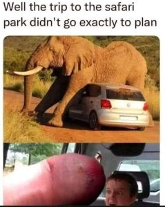 Stupid Bar Memes 8378393b4bebad7a