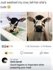 Stupid Bar Memes 8519559faf770eda