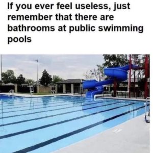 Stupid Bar Memes 858e9330bf8c3155