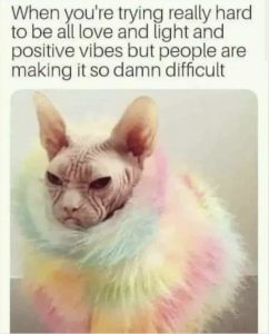 Stupid Bar Memes 860512ac00b2367e