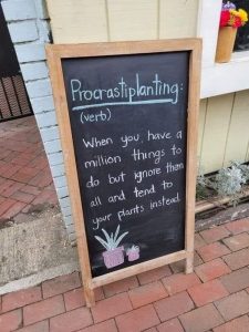 Stupid Bar Memes 8605d6d5bdff0cd9