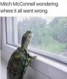 Stupid Bar Memes 870701fab2038a01